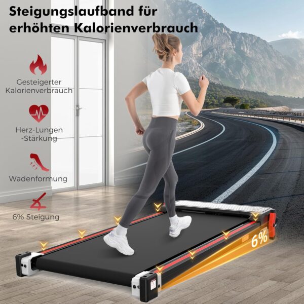 CITYSPORTS Fitnessgerät für Gehen und Joggen (Neuwertig)