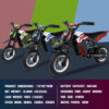 RCB R9X Elektrisches Motocross-Dirtbike